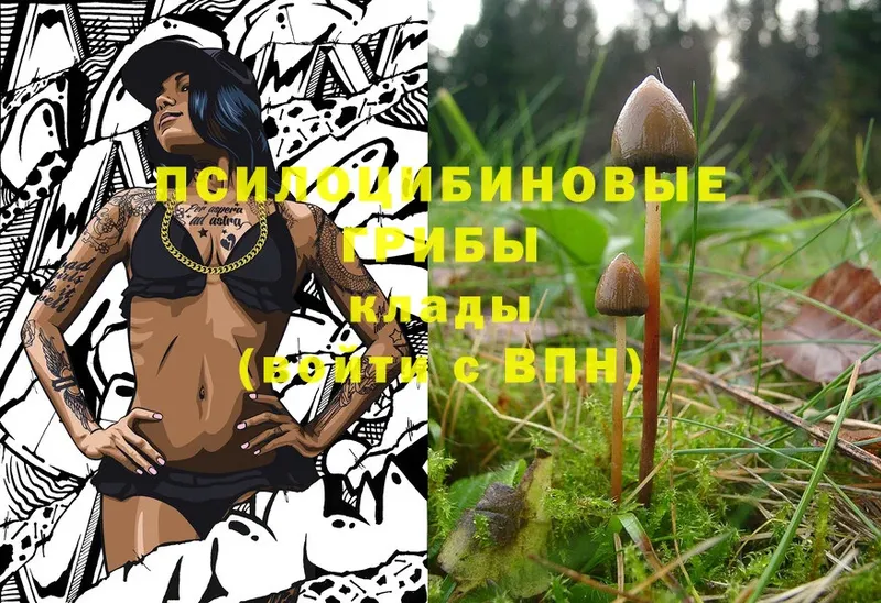 Галлюциногенные грибы MAGIC MUSHROOMS  Верея 