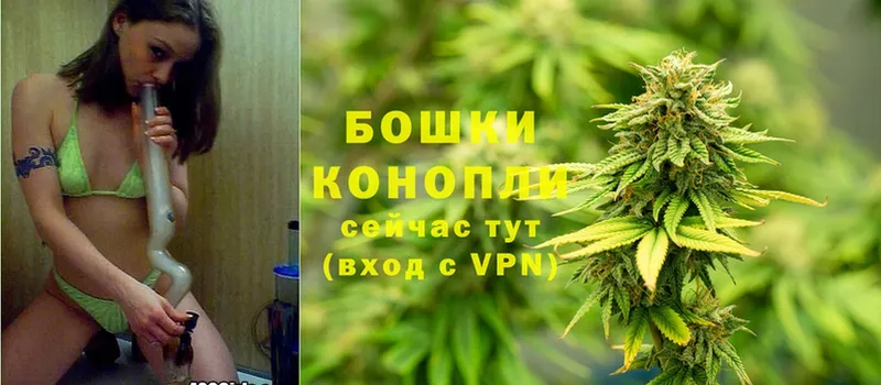 Конопля OG Kush  Верея 